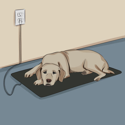 TrueGrounding™ Pet Mat